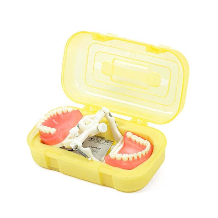 manequim-dentistica-odontologico-pronew-pd100-1.3