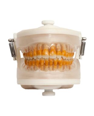 manequim-de-periodontia-odontologico-pd-102-pronew-1.0